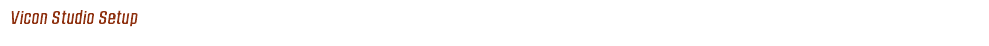 Vicon Studio Setup